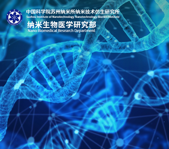 纳米生物医学研究部